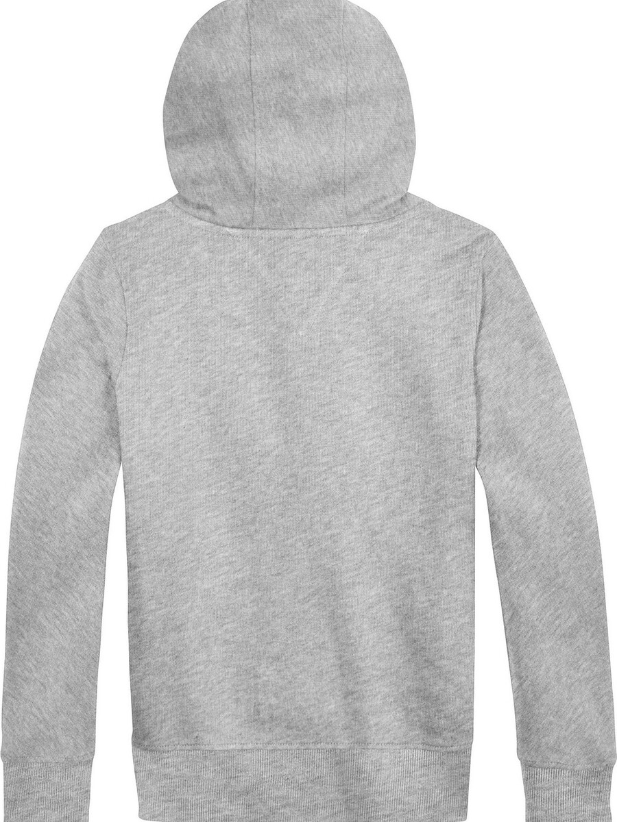 Sweater van het merk Tommy Hilfiger in het Grijs