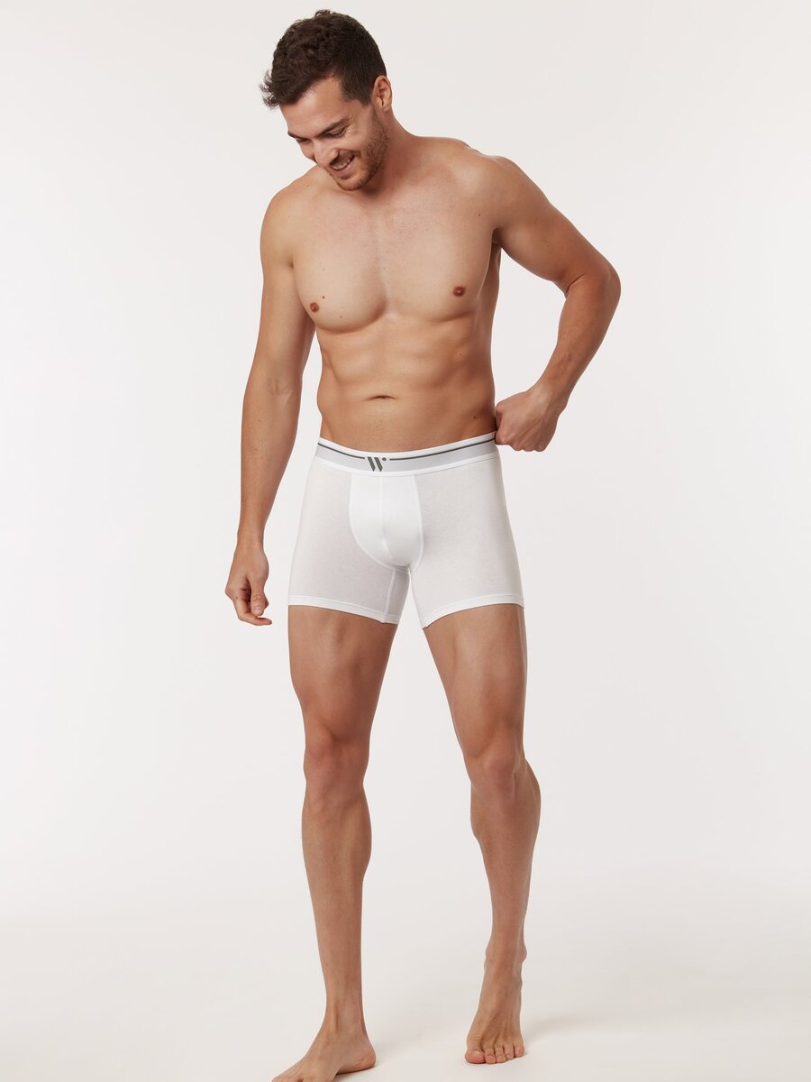 Boxer van het merk Woody in het Wit