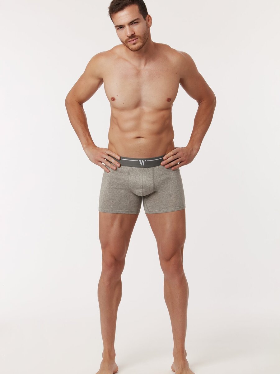 Boxer van het merk Woody in het Grijs