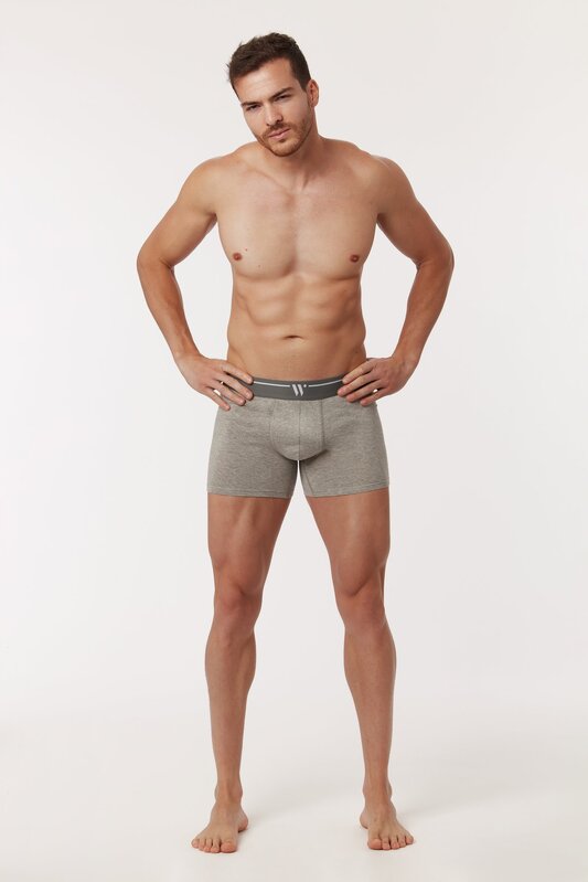 Boxer van het merk Woody in het Grijs