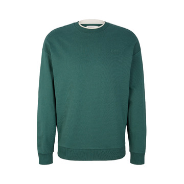 Sweater van het merk Tom Tailor Denim in het Groen