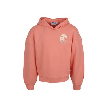 Sweater van het merk Awesome in het Oranje