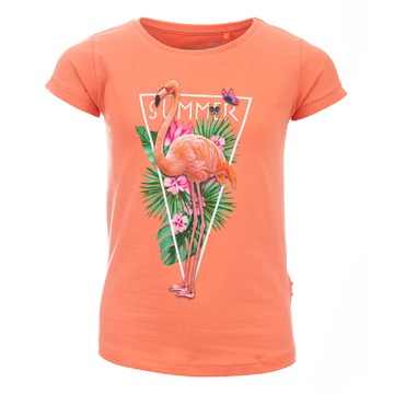 T-shirt van het merk Stones And Bones in het Oranje