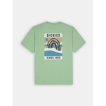 T-shirt van het merk Dickies in het Groen