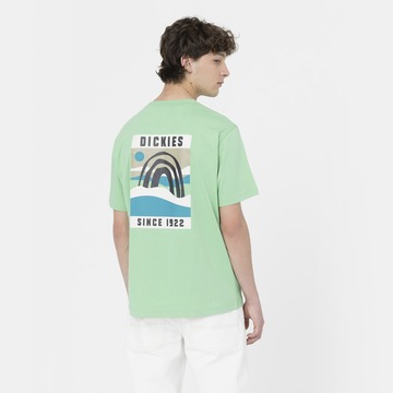 T-shirt van het merk Dickies in het Groen