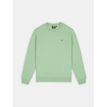 Sweater van het merk Dickies in het Groen