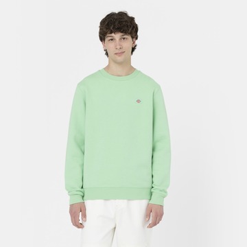 Sweater van het merk Dickies in het Groen