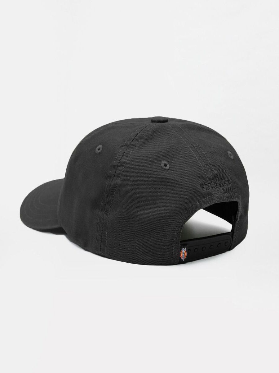 Pet van het merk Dickies in het Zwart