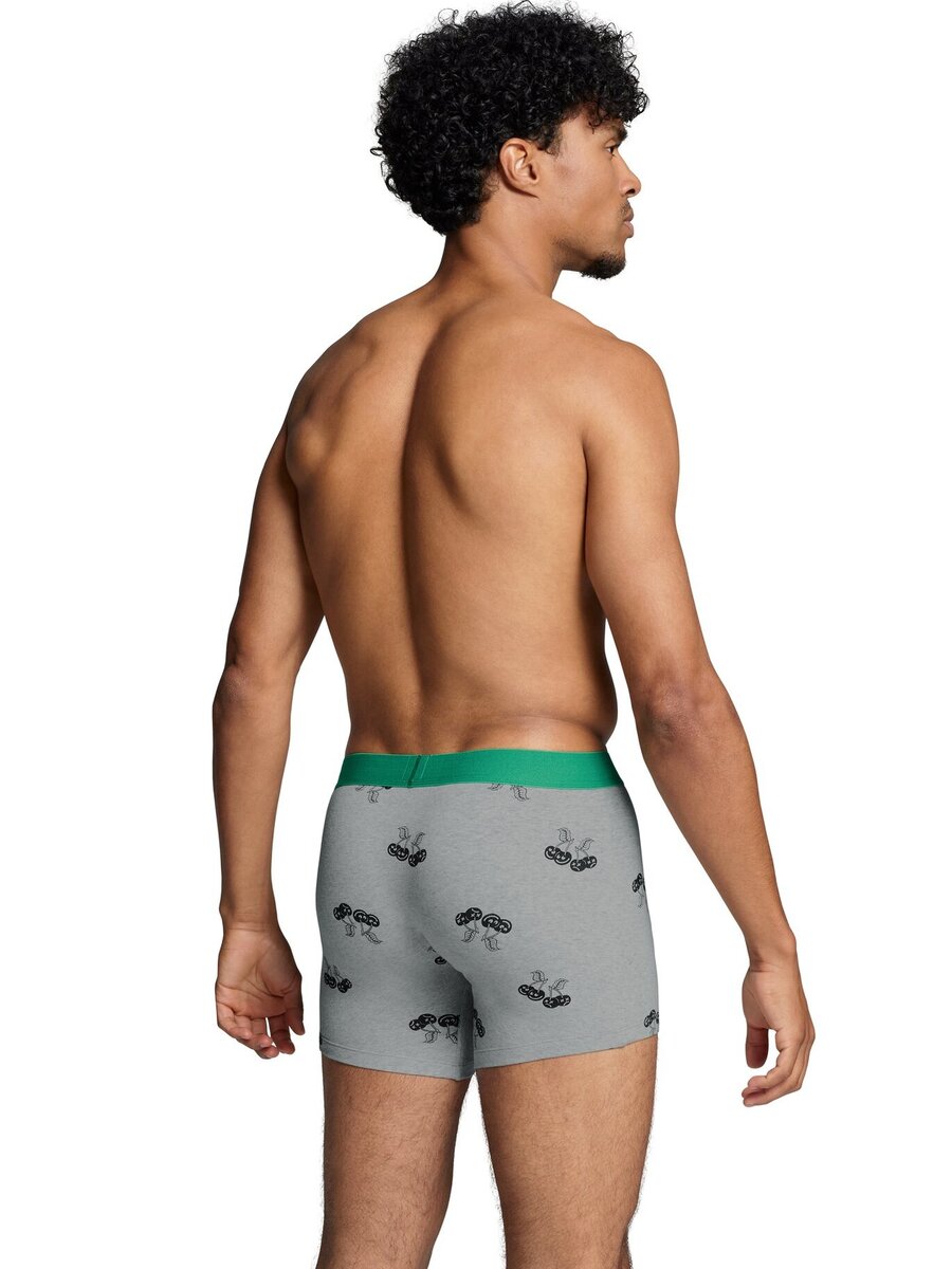 Boxer van het merk Levis in het Grijs