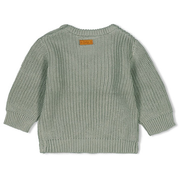Sweater van het merk Feetje in het Groen