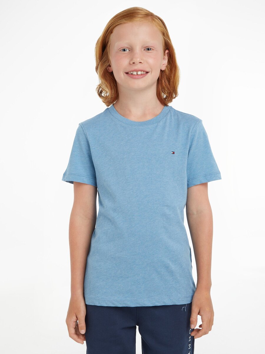 T-shirt van het merk Tommy Hilfiger in het Blauw
