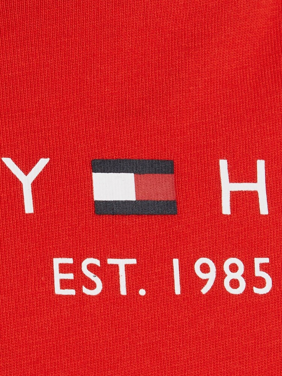 T-shirt van het merk Tommy Hilfiger in het Rood