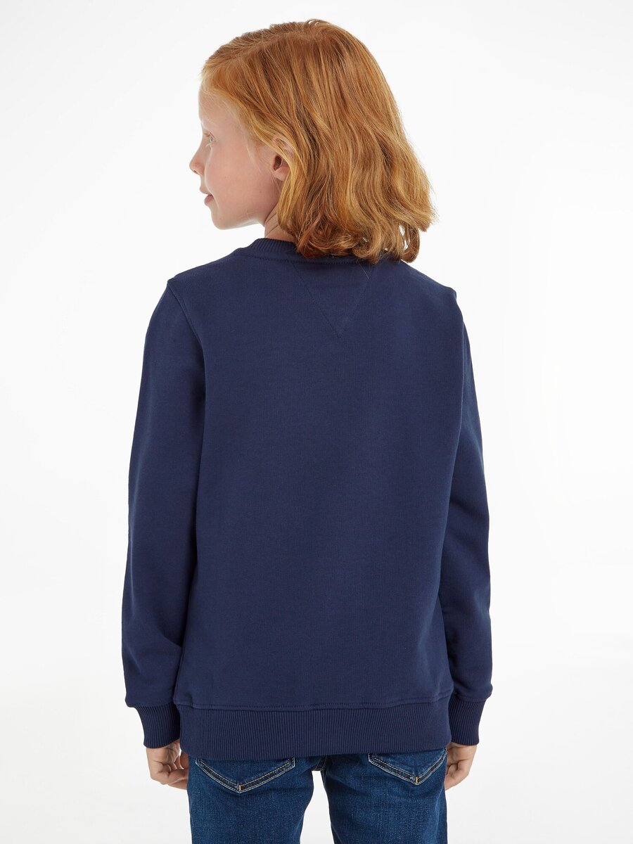 Sweater van het merk Tommy Hilfiger in het Marine
