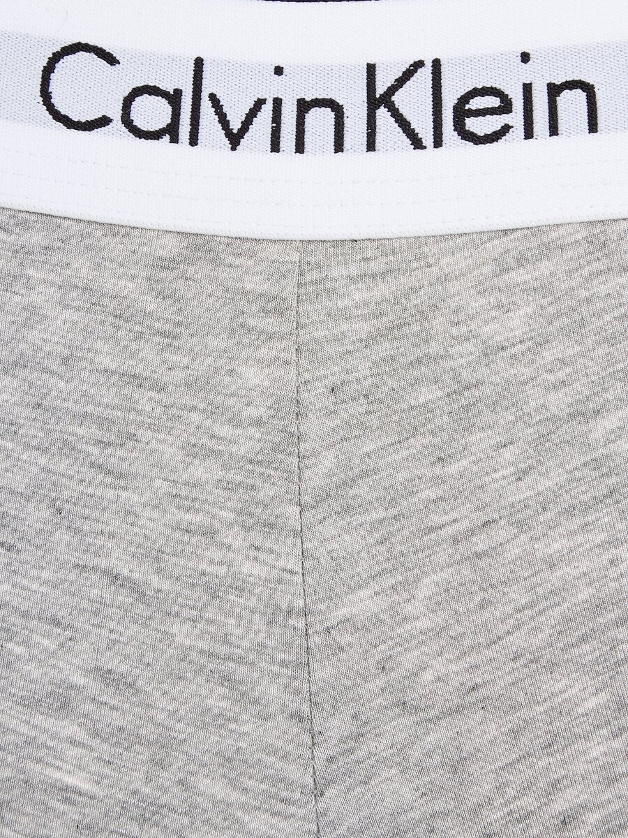 Boxer van het merk Calvin Klein in het Grijs