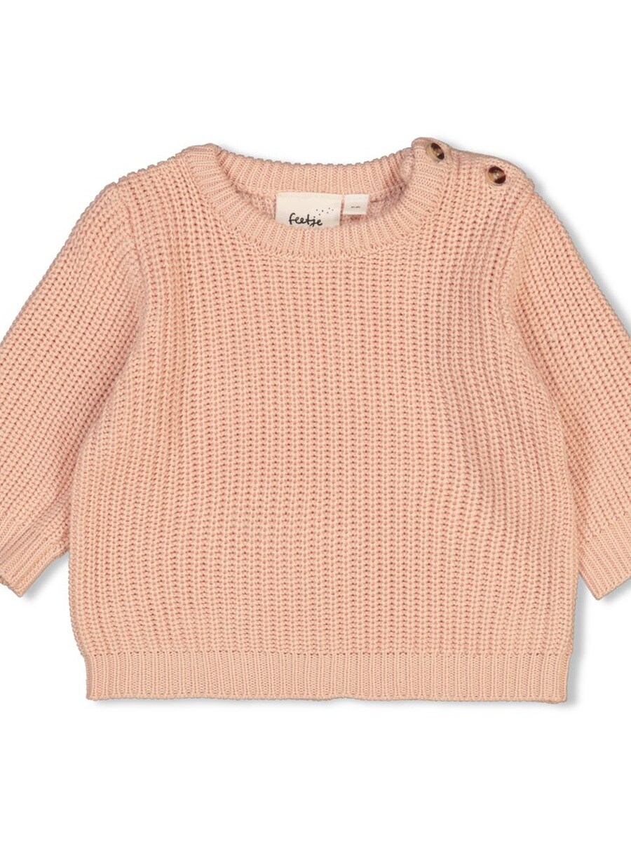 Pull van het merk Feetje in het Roze