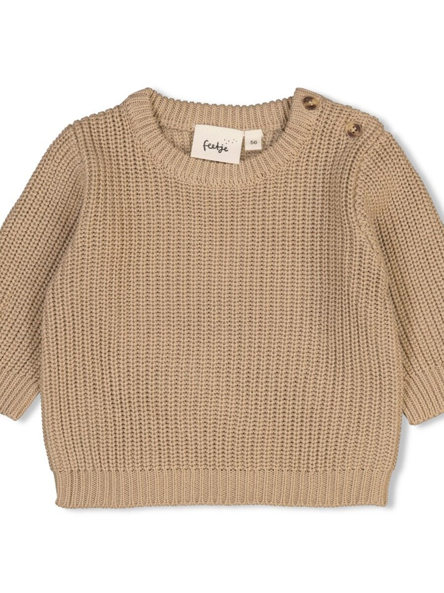 Pull van het merk Feetje in het Bruin