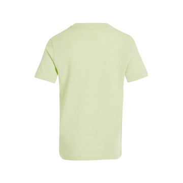 T-shirt van het merk Calvin Klein in het Groen