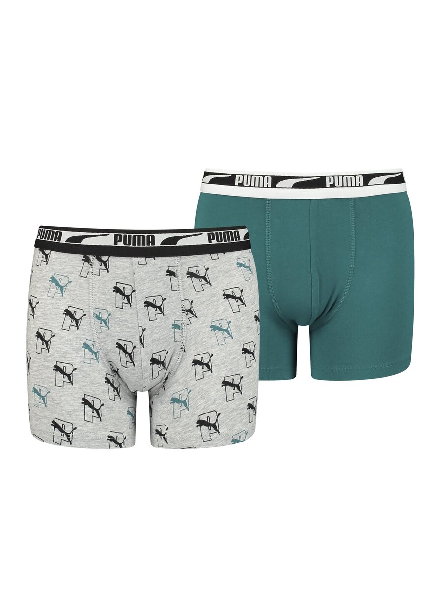 Boxer van het merk Puma in het Groen