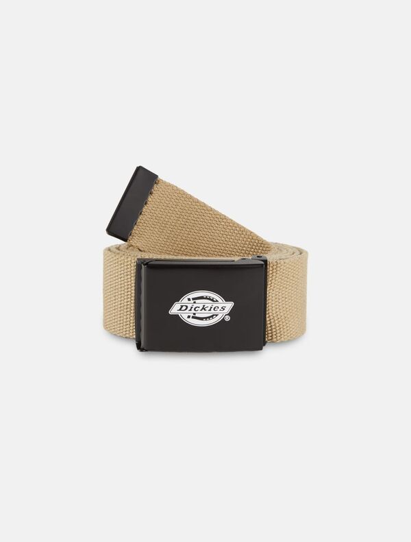 Riem van het merk Dickies in het Kaki