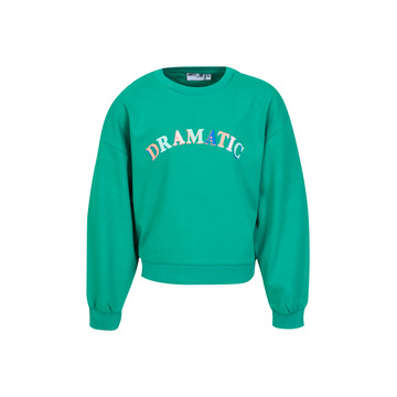 Sweater van het merk Awesome in het Groen