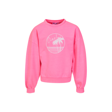 Sweater van het merk Awesome in het Roze