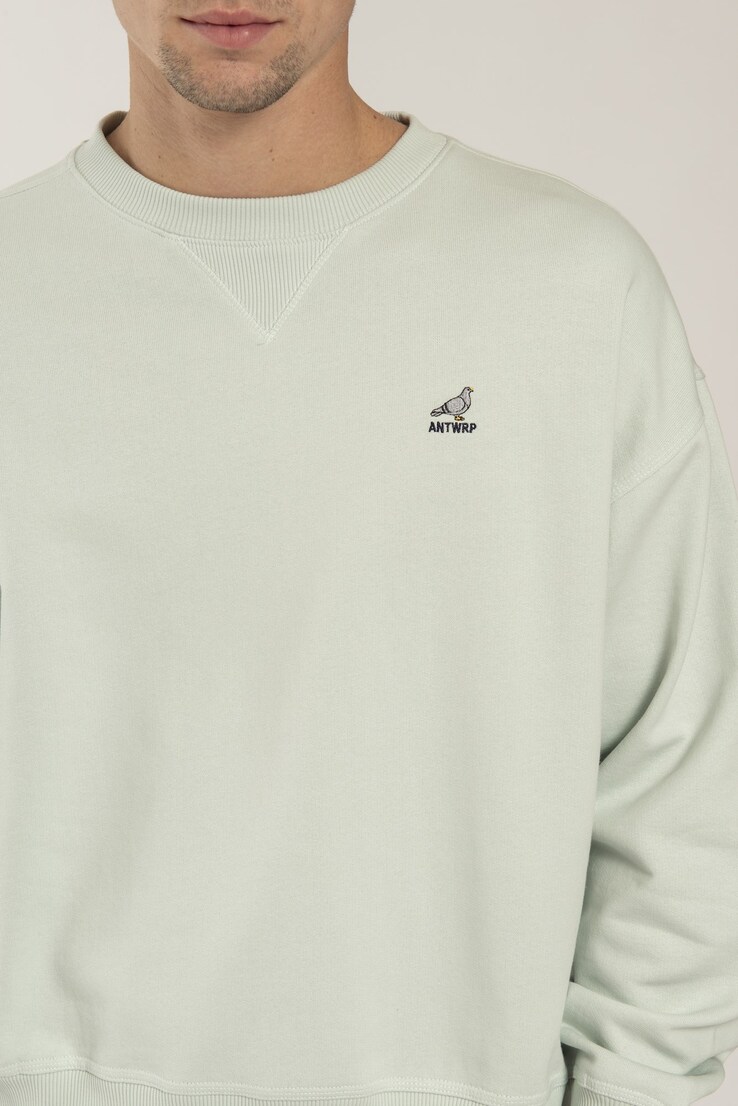 Pigeon Sweater - Regular fit