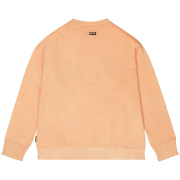 Sweater van het merk Tumblendry in het Oranje