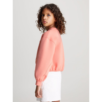 Sweater van het merk Calvin Klein in het Roze