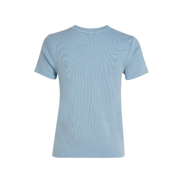 T-shirt van het merk Calvin Klein in het Blauw