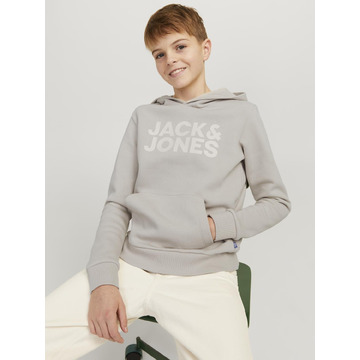 Sweater van het merk Jack & Jones in het Beige