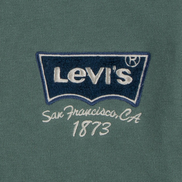 Jacket van het merk Levis Kids in het Kaki