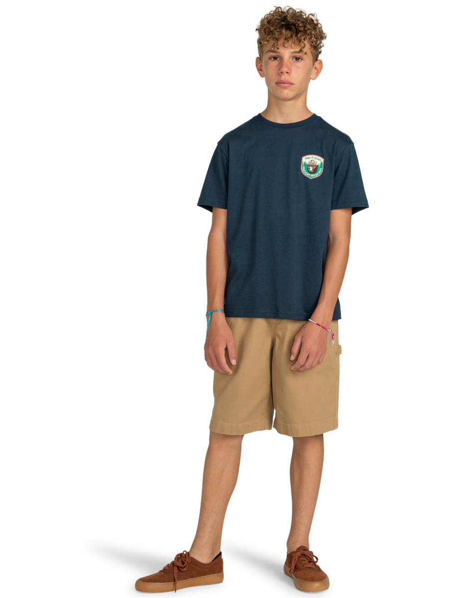 Short van het merk Element in het Kaki
