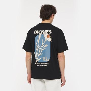 T-shirt van het merk Dickies in het Zwart