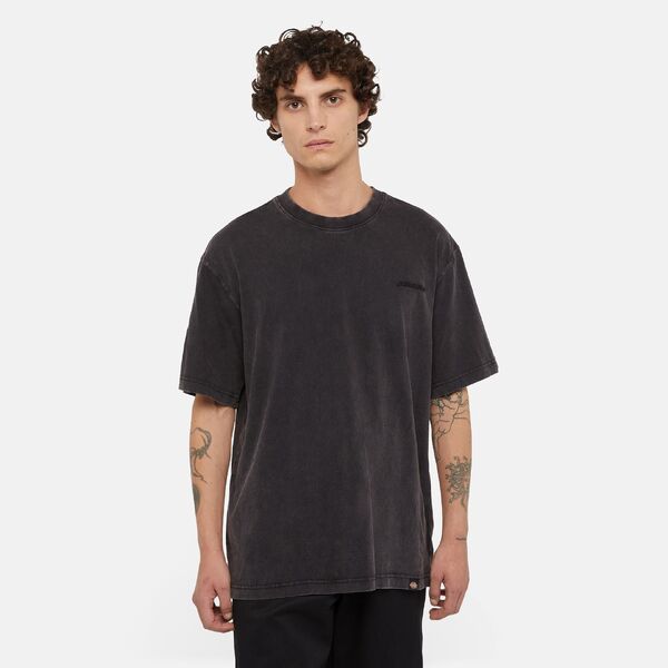 T-shirt van het merk Dickies in het Zwart