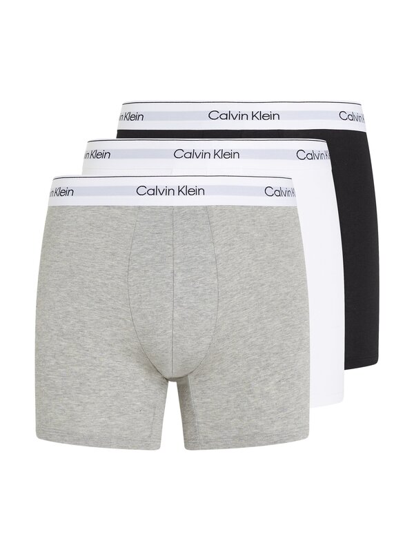 Boxer van het merk Calvin Klein in het Grijs