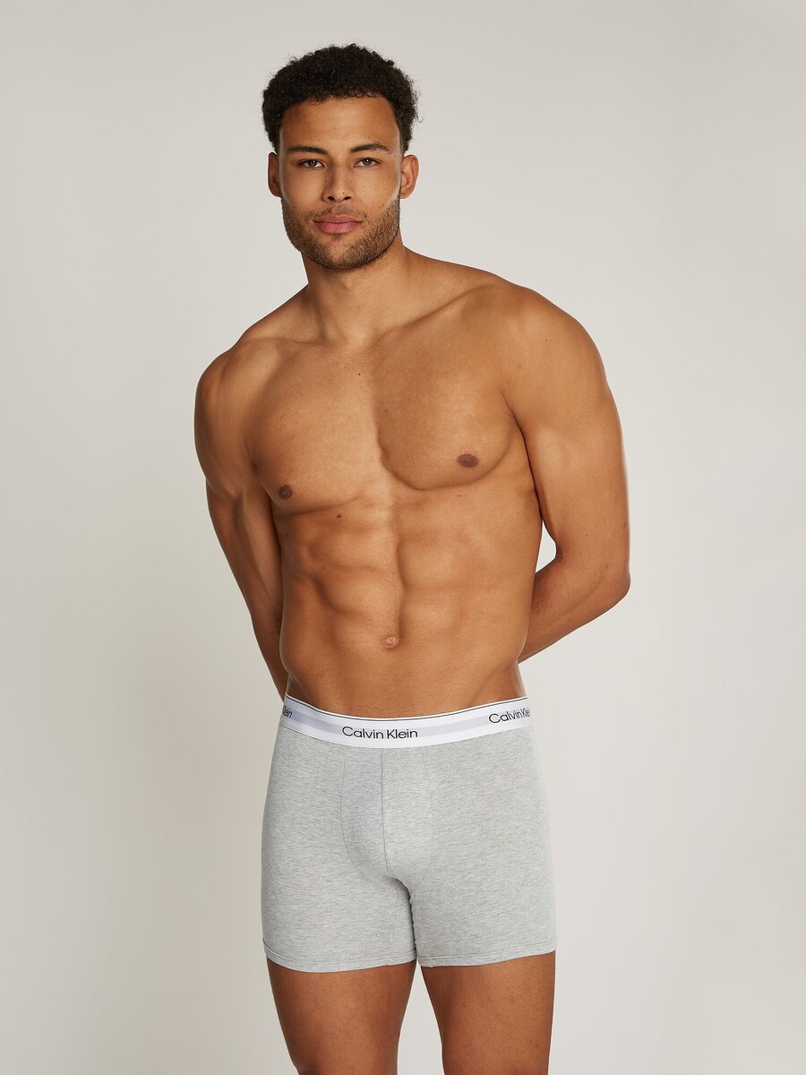 Boxer van het merk Calvin Klein in het Grijs