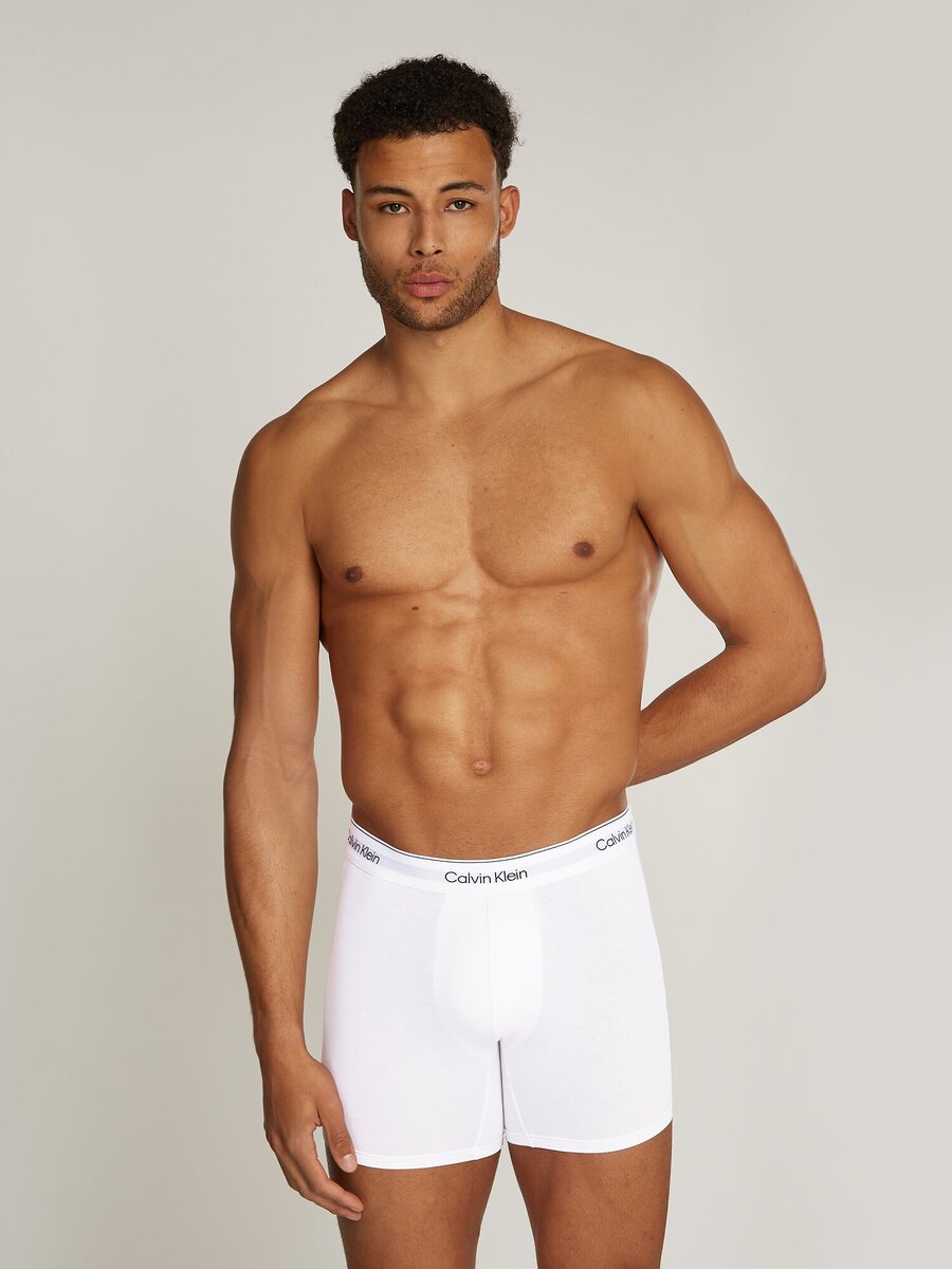 Boxer van het merk Calvin Klein in het Grijs