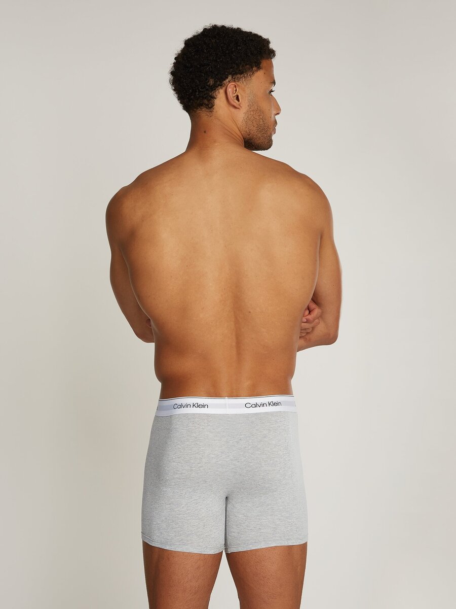 Boxer van het merk Calvin Klein in het Grijs