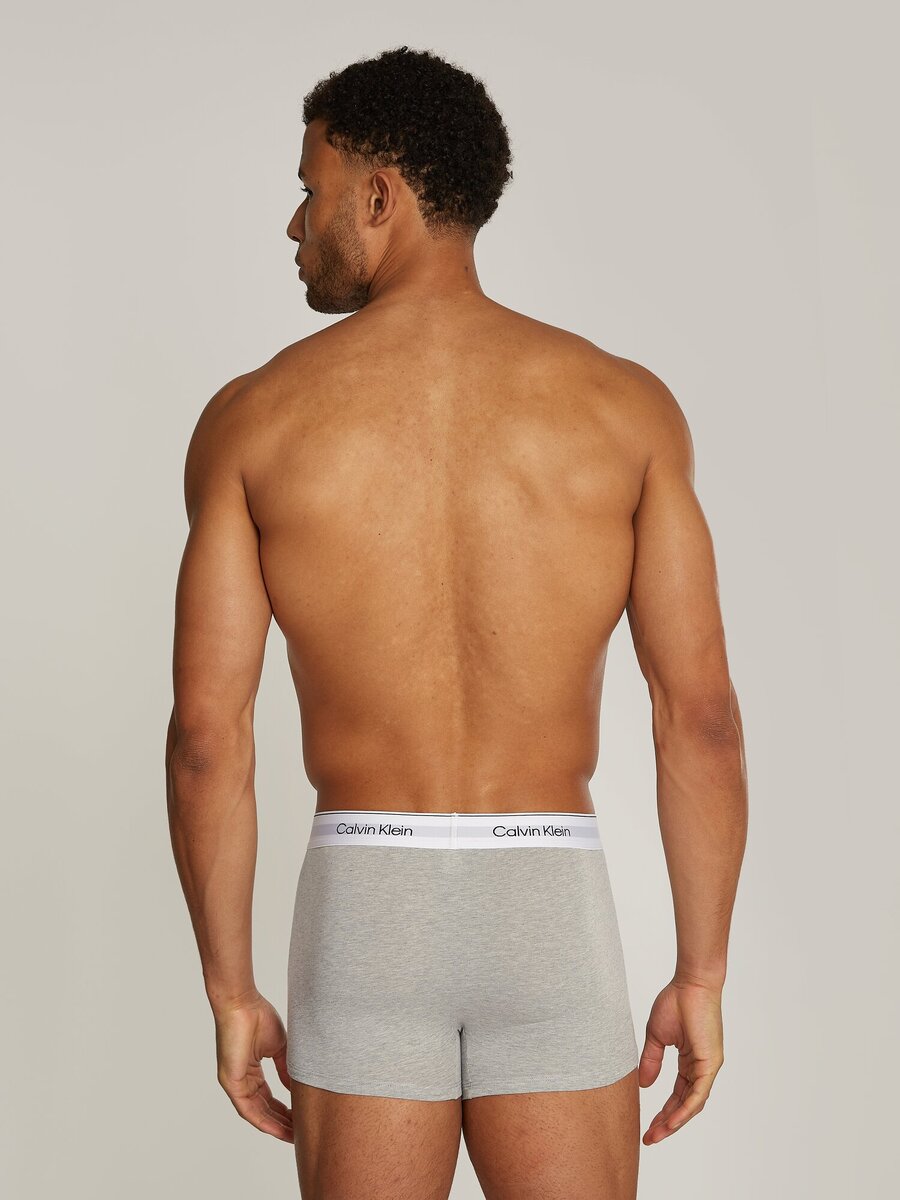 Boxer van het merk Calvin Klein in het Grijs