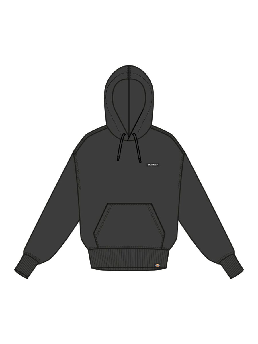 Sweater van het merk Dickies in het Zwart