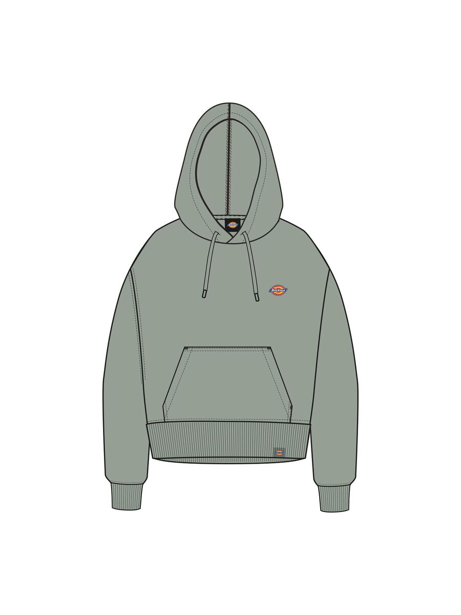 Sweater van het merk Dickies in het Kaki