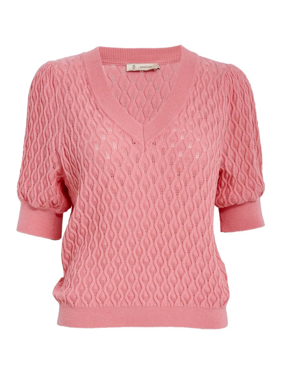 Pull van het merk Peppercorn in het Roze