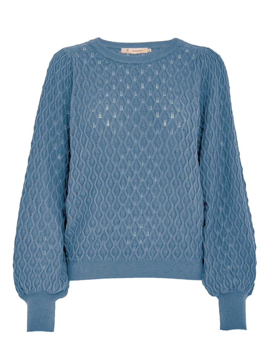 Pull van het merk Peppercorn in het Blauw