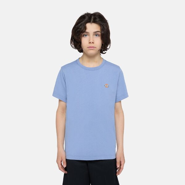 T-shirt van het merk Dickies in het Blauw