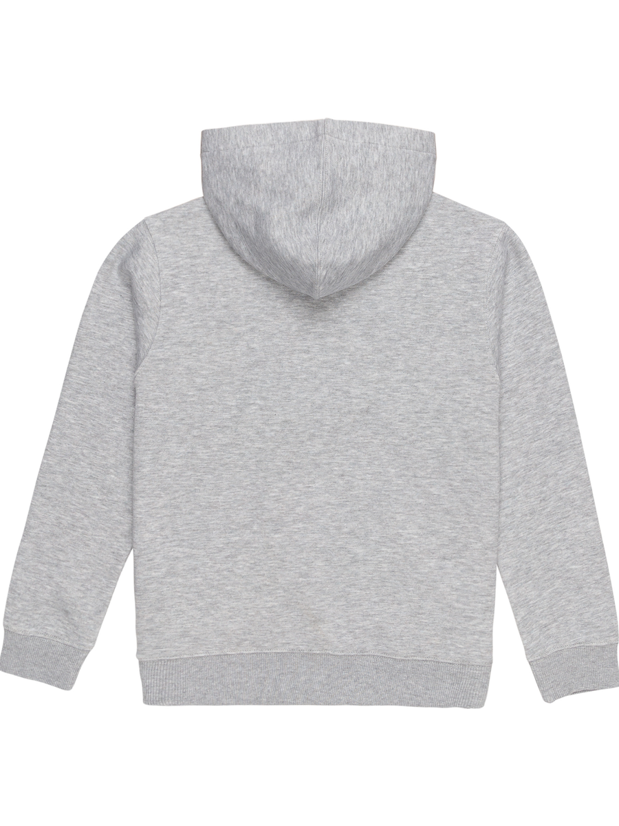 Pull van het merk Element in het Grijs