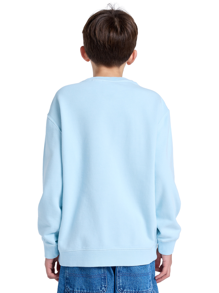 Pull van het merk Element in het Blauw