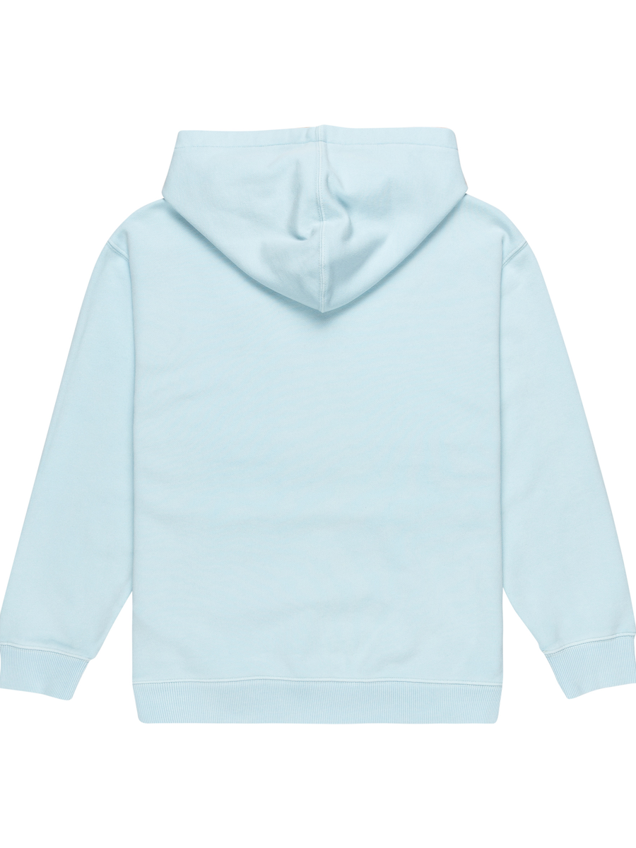 Pull van het merk Element in het Blauw