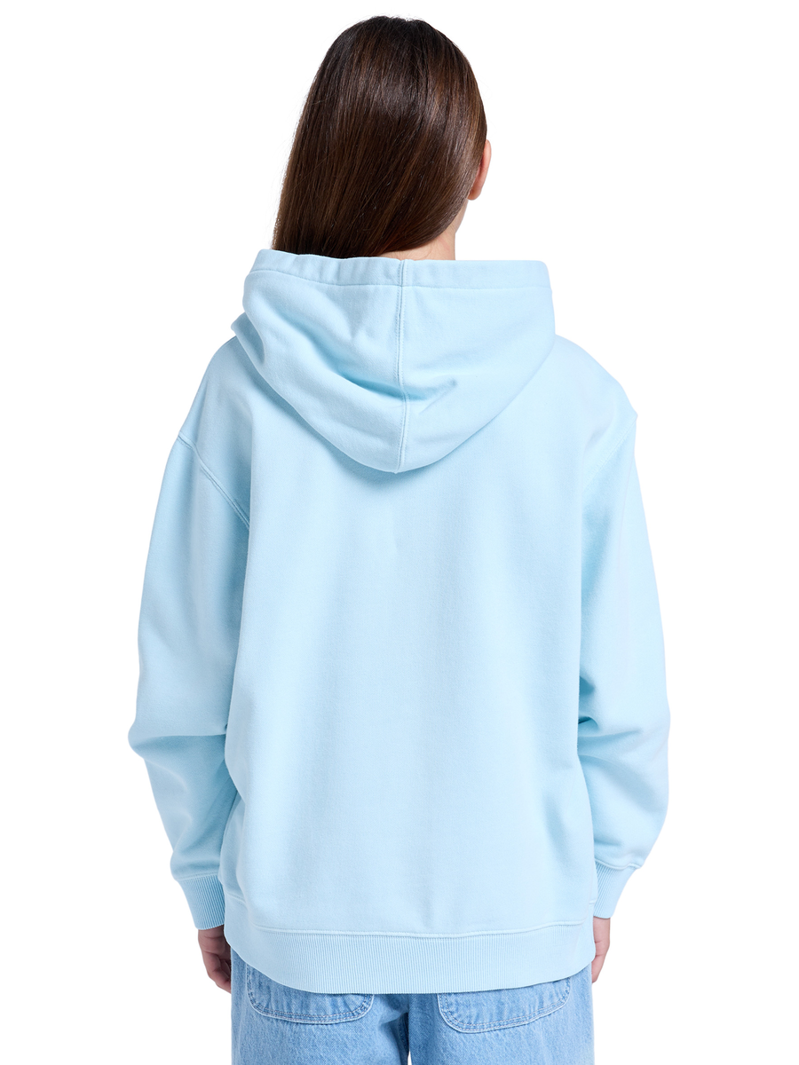 Pull van het merk Element in het Blauw
