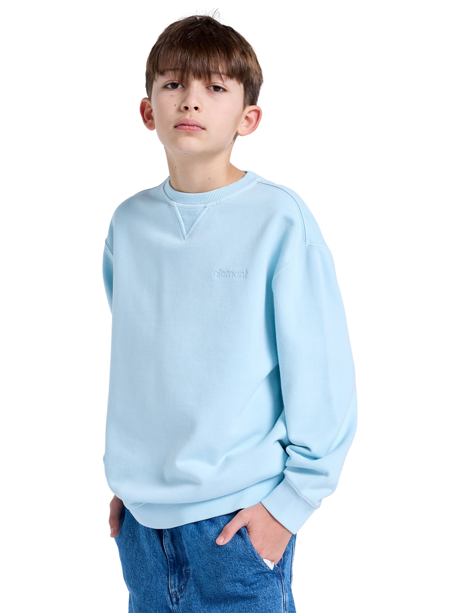 Pull van het merk Element in het Blauw