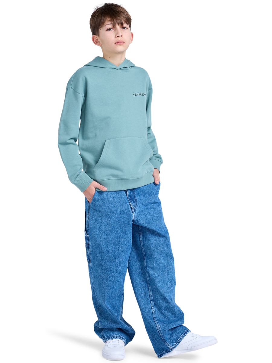 Pull van het merk Element in het Groen